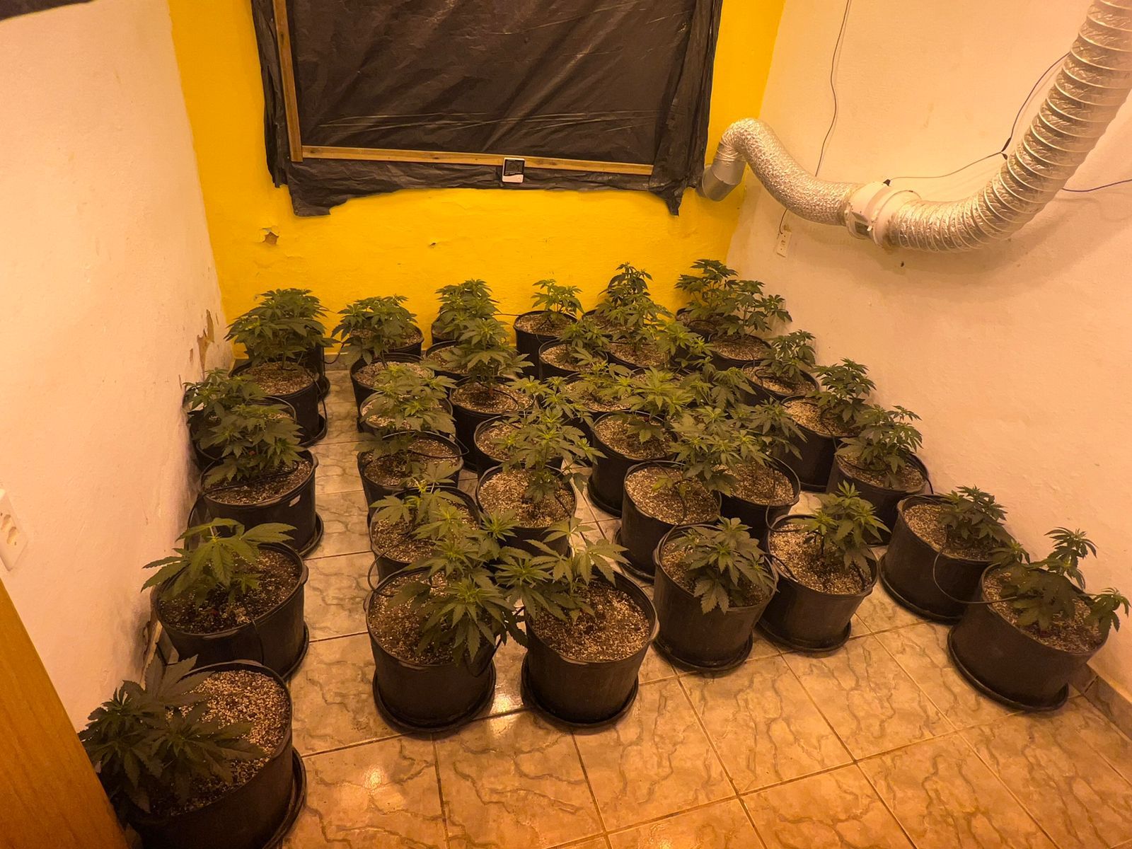 Grande apreensão de “skunk” realizada por policiais em Cachoeiro