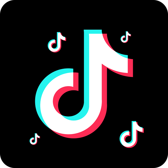 TikTok anuncia possível interrupção no domingo, a menos que Biden tome ação direta